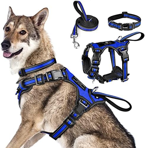 WINSEE All-in-One Reflective Dog Harness, Collar & Leash Set, No Pull by WINSEE