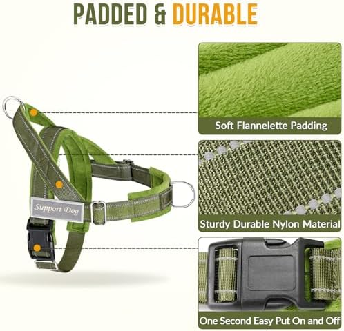 Lukovee No Pull Dog Harness and Leash Set, Soft Padded - Image 4