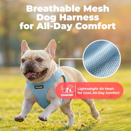 Voyager Step-in Air Dog Vest Harness - Image 5