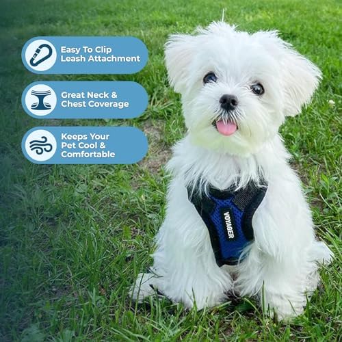 Voyager Step-in Lock Dog Harness - Image 3