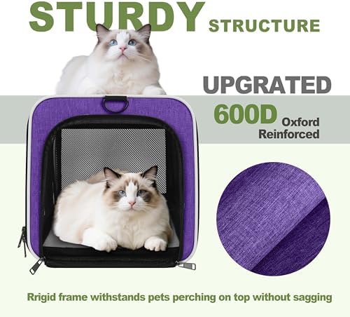 GAPZER Pet Carrier for Cat 18x11x11 Inch, Top Load Small Dog Car Ride Crate - Image 4