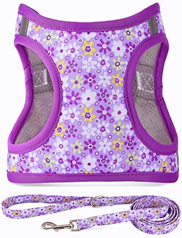 Step in Dog Harness Leash Set- All Weather Reflective No-Pull Floral Pattern by MOONPET