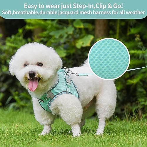 AIITLE Small Dog Harness and Leash Set - Image 3