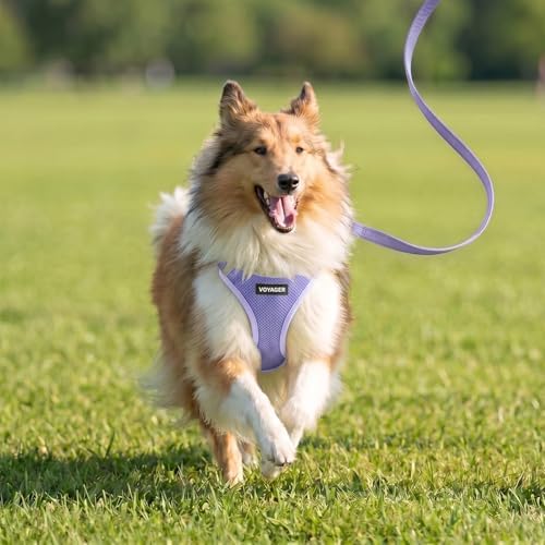Best Pet Supplies Voyager Step-in Air All Weather Mesh Harness and Reflective - Image 7
