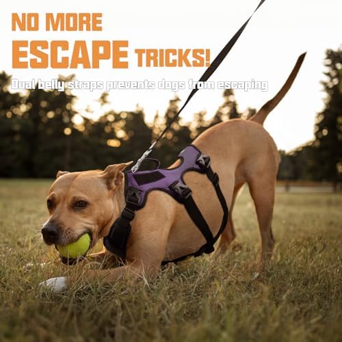 AUROTH Escape Proof No Pull Dog Harness - Image 3