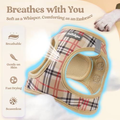 rabbitgoo Dog Harness Small Sized and Leash Set, Step-in Puppy Pet Vest - Image 4