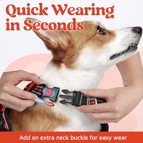 rabbitgoo Dog Harness Small Sized, No Pull 3 Buckles Easy On & Off - Image 2