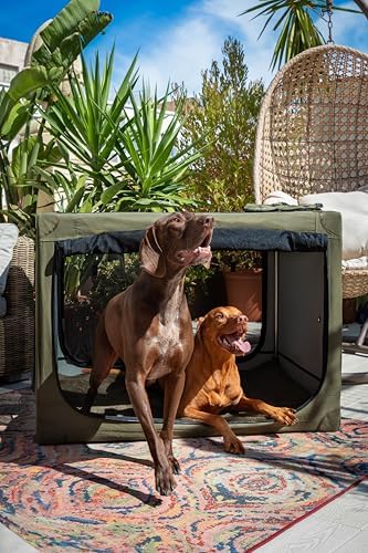 Noah & Paw XL Collapsible Dog Crate, Soft Large Dog Crate 900D Oxford - Image 3
