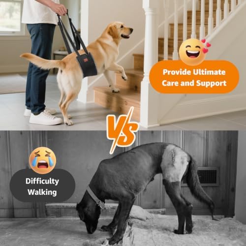 LOOBANI Dog Sling for Extra Large Dogs Hind Leg Support Weak Rear Leg Aid - Image 2