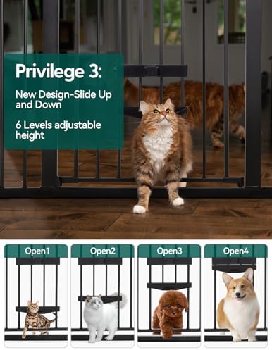 Babelio 36" Tall Dog Gate with Cat Door, CatPrivilege II - Image 3