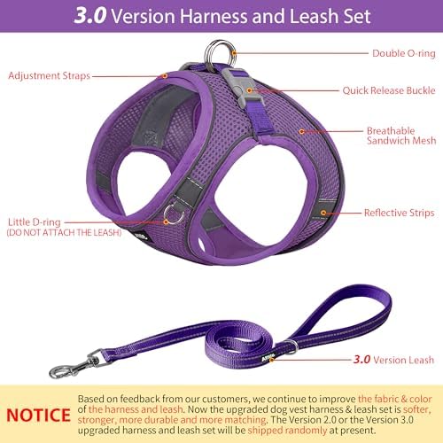 AIITLE Dog Harness and Leash Set, Step-in Puppy Pet Vest, Pure Purple XXS - Image 2