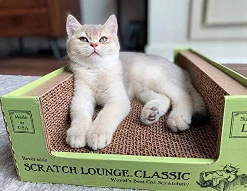 The Original Scratch Lounge XL - Image 6