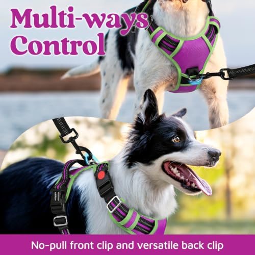 rabbitgoo Dog Harness for Large, No Pull 3 Buckles Easy On & Off - Image 3