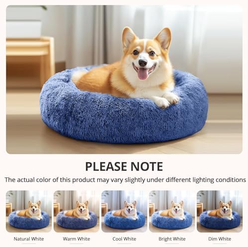 JOLLYVOGUE Calming Dog Bed for Small Dogs - Image 6
