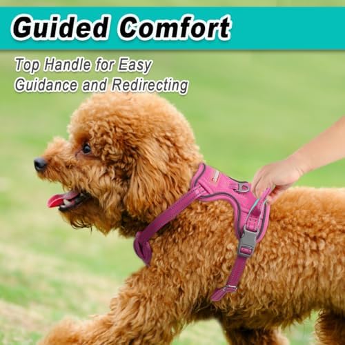 BARKBAY Dog Harness for Small Sized Dog No Pull Mesh 2 Clips Dog Vest - Image 4