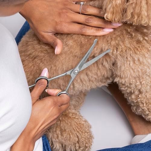Tweezerman 7" Pet Grooming Shears-Safety Round Tips - Image 5