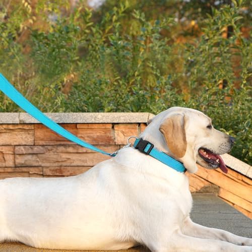 6 FT Basic Dog Leash for Large Dogs, Sky Blue - Image 3