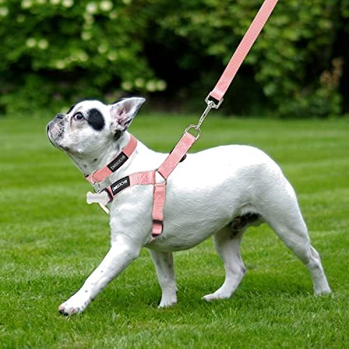 No Pull Dog Harness, Leash & Collar Set, Adjustable Step-in Vest - Image 5
