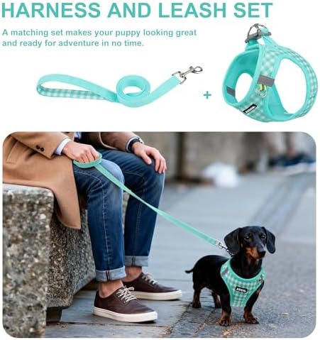 AIITLE Step in Small Dog Harness and Leash Set, Pet Vest, Turquoise XS - Image 3