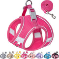 Dog Harness for Small Medium Sized Dog, Puppy Harness and Leash Set Training by Aecllcea