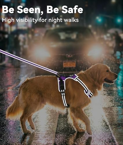 Joytale No Pull Dog Harness for Small Dogs, Front Clip - Image 5