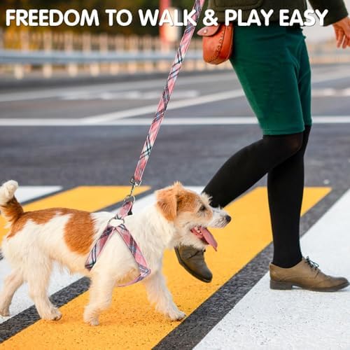 BINGPET No Pull Dog Harness Leash Collar Set, Adjustable Step-in Vest - Image 2