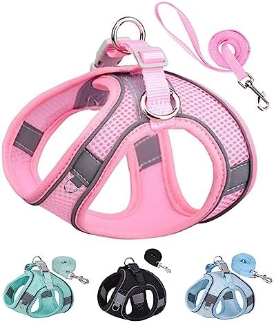 Solmoony Dog Harness for Small Medium Dogs No Pull, Puppy Harness and Leash Set by SOLMOONY