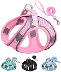 Solmoony Dog Harness for Small Medium Dogs No Pull, Puppy Harness and Leash Set by SOLMOONY