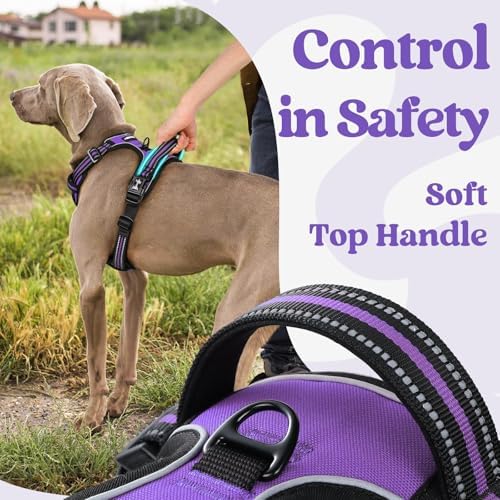 rabbitgoo Dog Harness Medium Sized, Updated Easy On & Off - Image 5