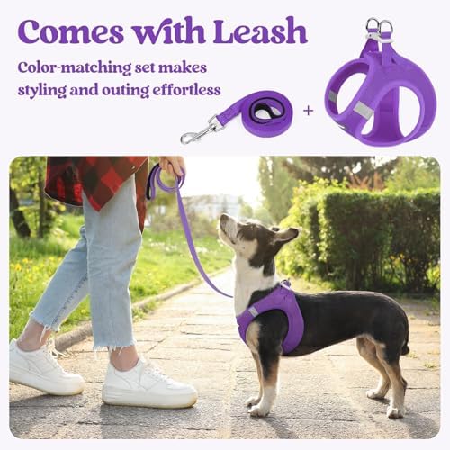rabbitgoo Dog Harness Medium Sized and Leash Set, Step-in Puppy Pet Vest - Image 6