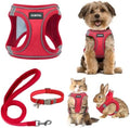 GAMUDA Small Pet Harness Collar and Leash Set, Step in No Chock No Pull Linen by GAMUDACollarsCollection