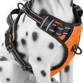 PoyPet No Pull Dog Harness Small, Reflective Vest by PoyPet
