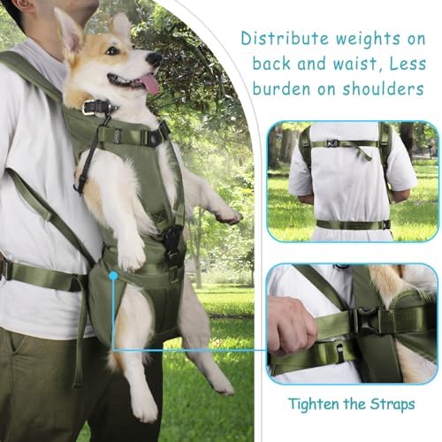 PetBonus Dog Front Carrier Backpacks, Legs Out Easy-fit Puppy Chest Carrier - Image 3