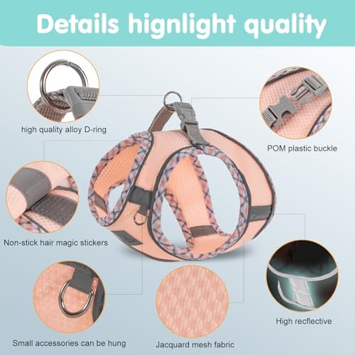Dog Harness and Leash Set, No Pull Pet Harness - Image 3