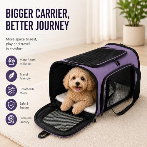 Large Pet Carrier for Cats and Small Dogs, Soft-Sided Travel Carrier - Image 2