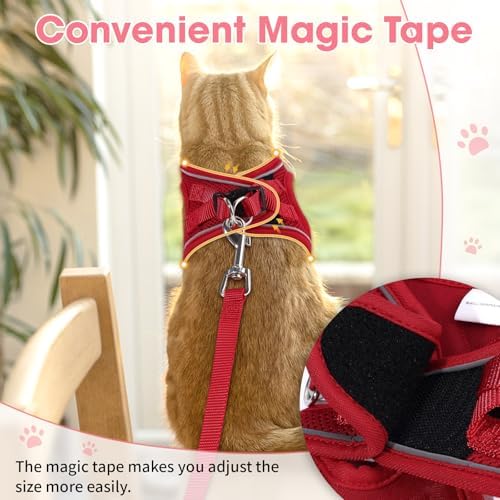 Cat Harness and Leash Set for Walking Escape Proof Vest for Kitten - Image 5