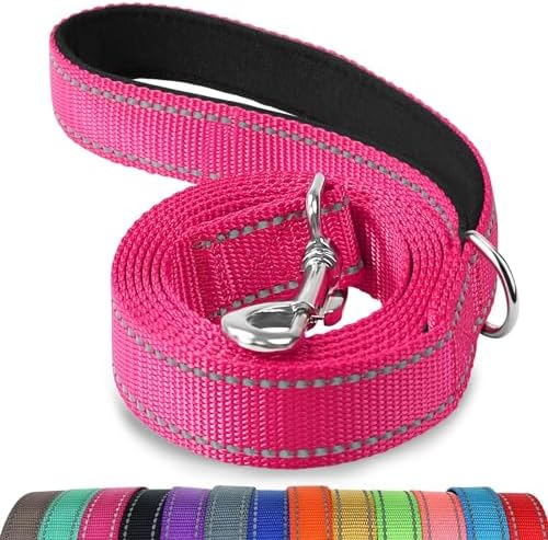 Joytale Reflective Dog Leash for Small Dogs, 6 FT x 3/4" by Joytale