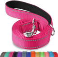 Joytale Reflective Dog Leash for Small Dogs, 4 FT x 3/4" by Joytale