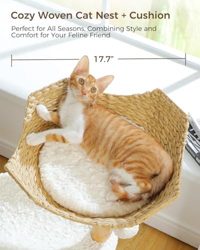 MUTTROS Modern Wood Cat Tree for Large Cats - Image 4