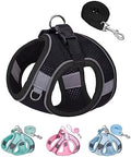 Solmoony Black Step-in Dog Harness & Leash Set, Vest by SOLMOONY