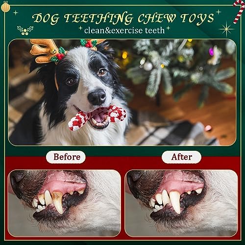 24 Pcs Christmas Dog Rope Toys Puppy Chew Teething,Classic Style - Image 4