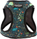 Downtown Pet Supply Step-in Dog Harness – No Pull, Adjustable Padded Mesh by DowntownPetSupply
