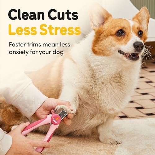 LED Dog Nail Clippers with Light, Pet Nail Trimmer - Image 4