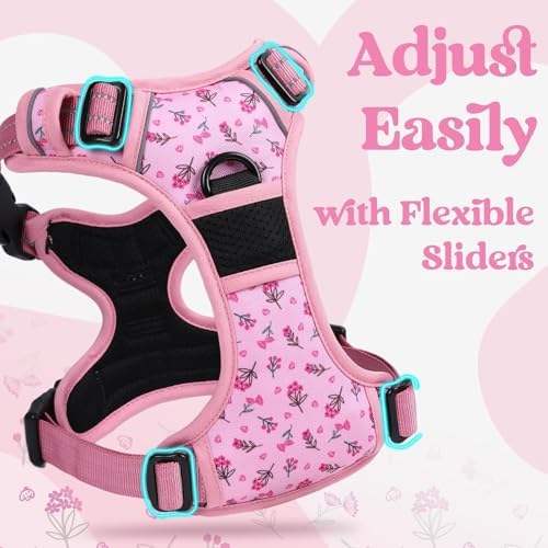 rabbitgoo Dog Harness for Large, Updated Easy On & Off - Image 4