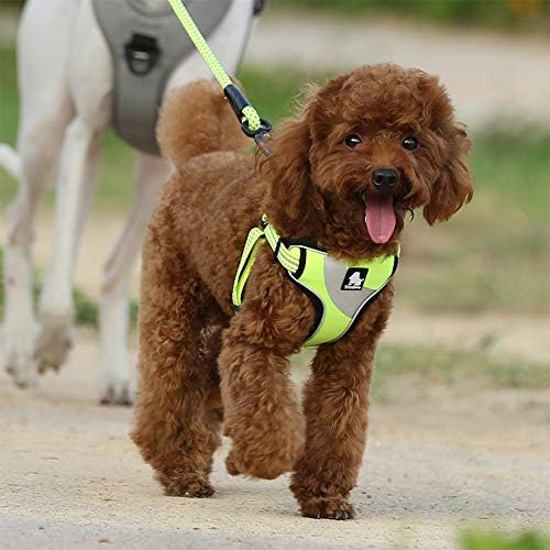 TRUE LOVE Step-in Dog Harness, Reflective, Breathable, Neon Yellow - Image 6