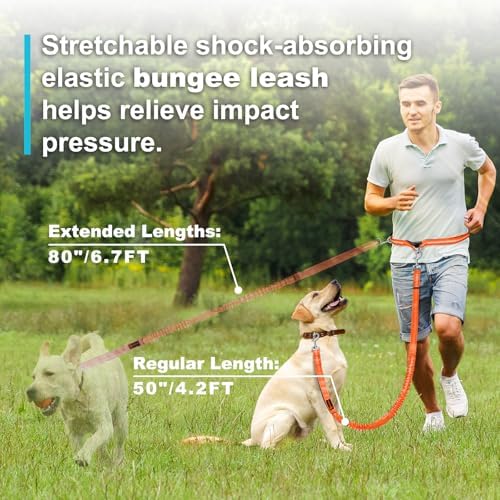 Laqibak Hands Free Dog Leash, Adjustable Waist Leash - Image 4