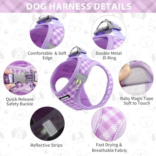 AIITLE Step in Small Dog Harness and Leash Set, Puppy Pet Vest - Image 3