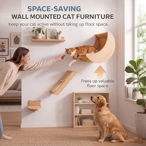 Cat Wall Shelves Set, Solid Wood Moon Bed, Perch & Stair - Image 2