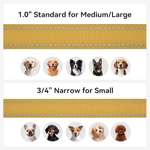 Joytale Reflective Dog Leash for Small Dogs, 5 FT x 3/4" - Image 6