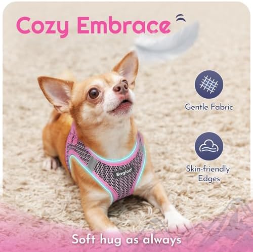 Eagloo Small Dog Harness and Leash Set, Step in Extra Small Puppy Pet Vest - Image 4